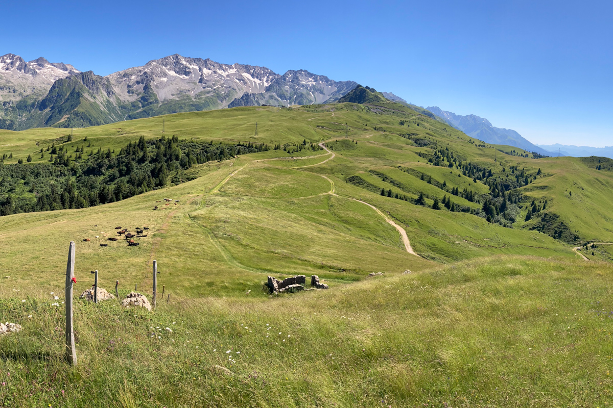 Paysages